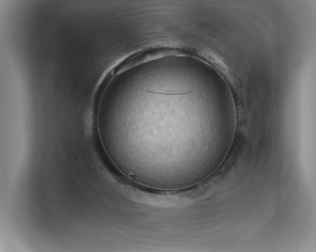 X0000111360012200907101240