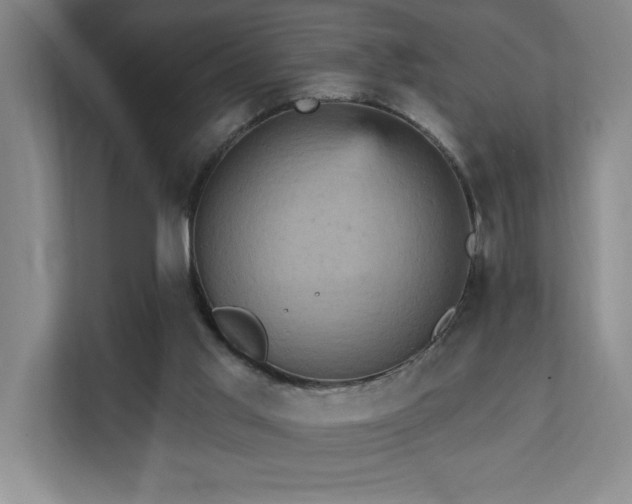 X0000111360013200907101240