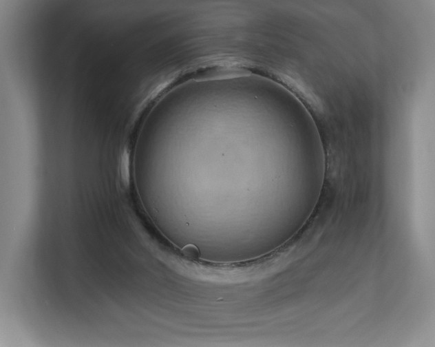 X0000111360014200907101240