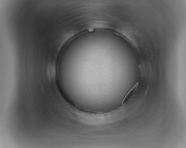 X0000111360015200907101240