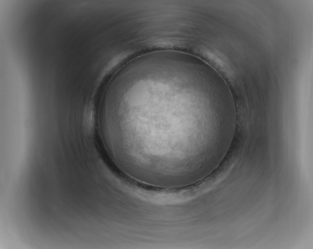 X0000111360016200907101240