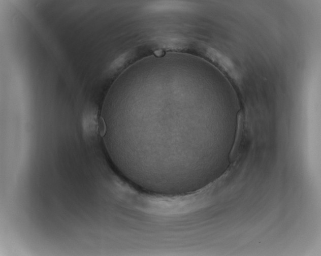 X0000111360017200907101240