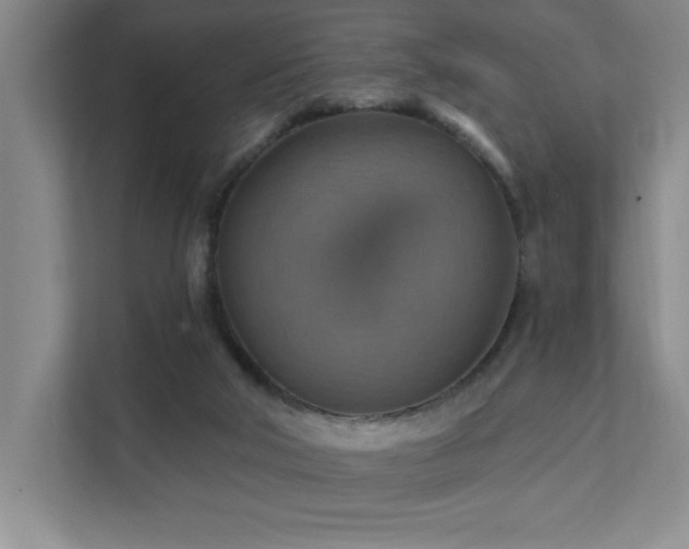 X0000111360018200907101240