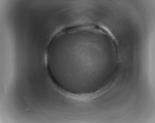 X0000111360019200907101240
