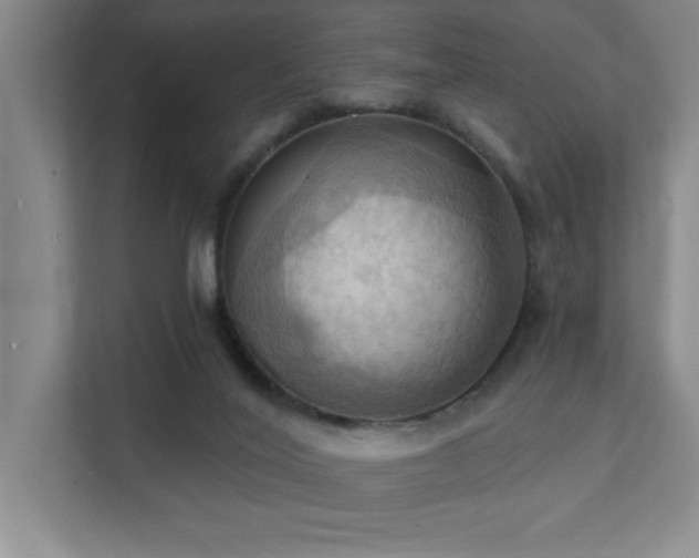 X0000111360020200907101240