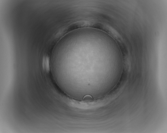 X0000111360022200907101240