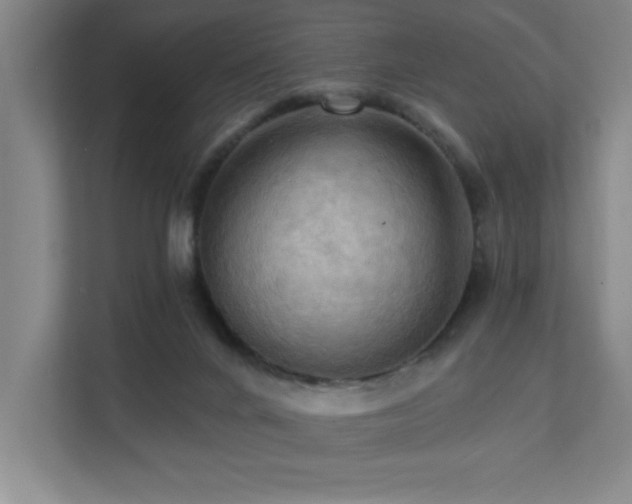 X0000111360024200907101240