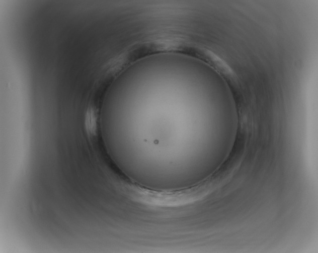 X0000111360026200907101239