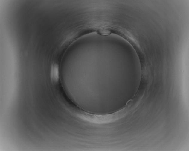 X0000111360027200907101239