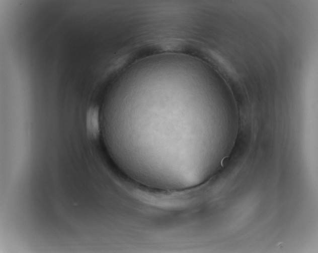 X0000111360028200907101239