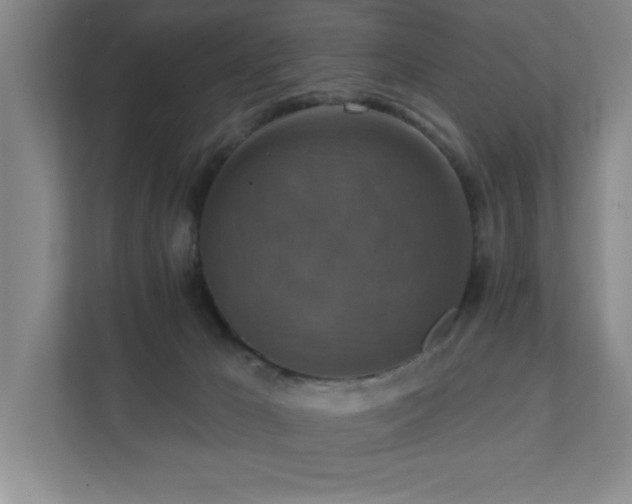 X0000111360029200907101239