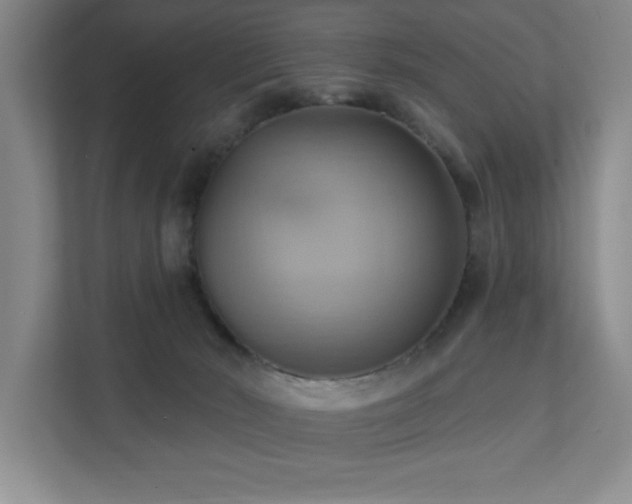 X0000111360030200907101239