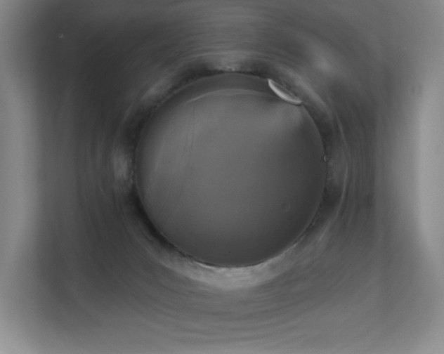 X0000111360031200907101239