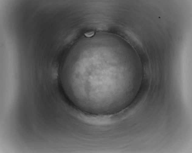 X0000111360032200907101239