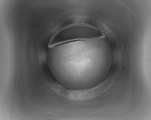 X0000111360033200907101239