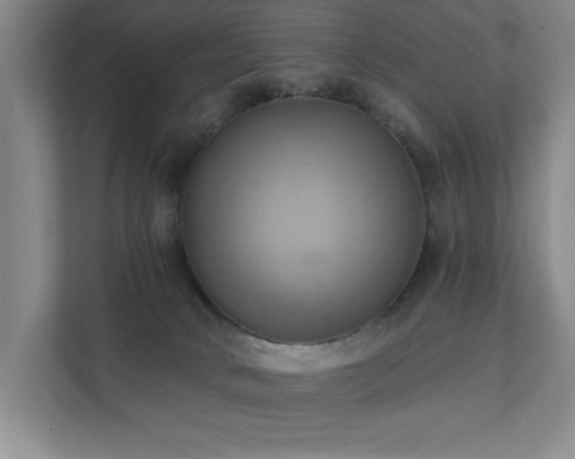 X0000111360034200907101239
