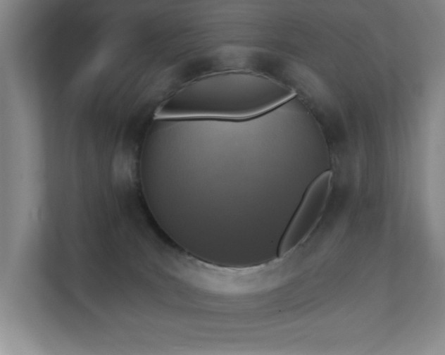 X0000111360035200907101239