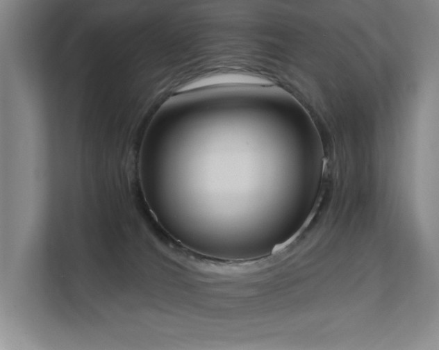 X0000111360036200907101239