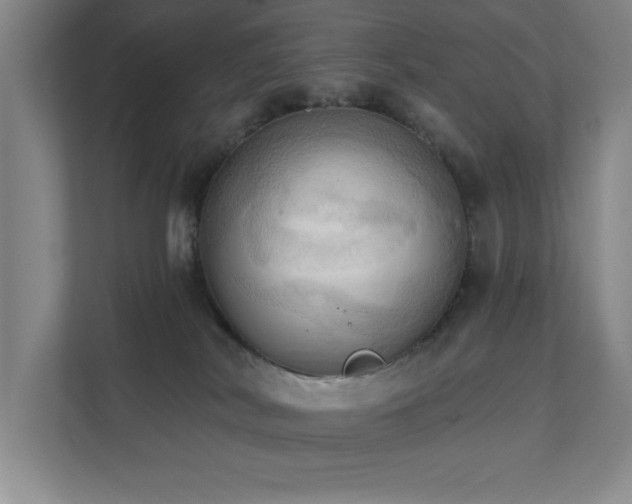 X0000111360038200907101239
