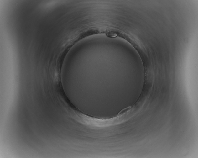 X0000111360039200907101239