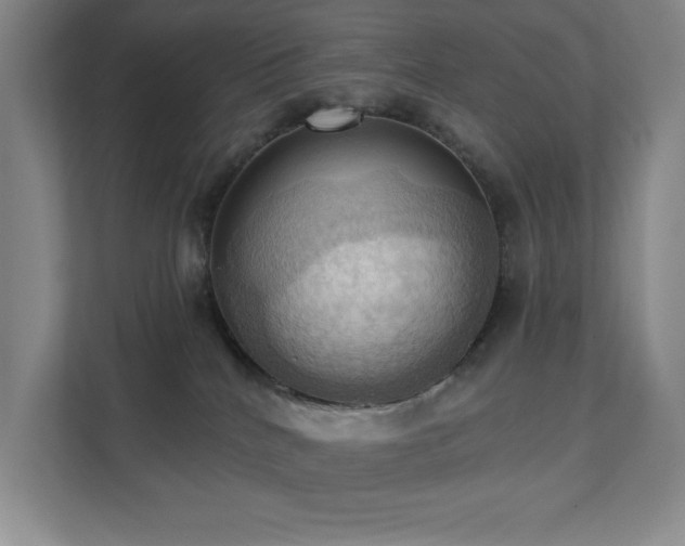 X0000111360040200907101239