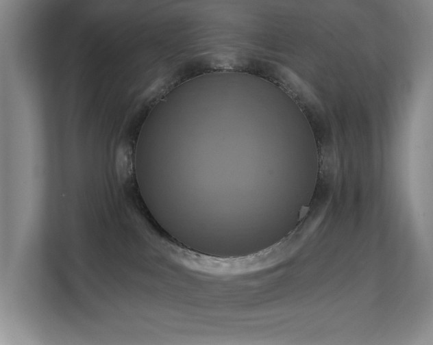 X0000111360043200907101239