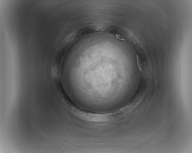 X0000111360044200907101239