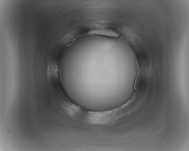 X0000111360045200907101239