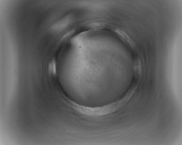 X0000111360046200907101239