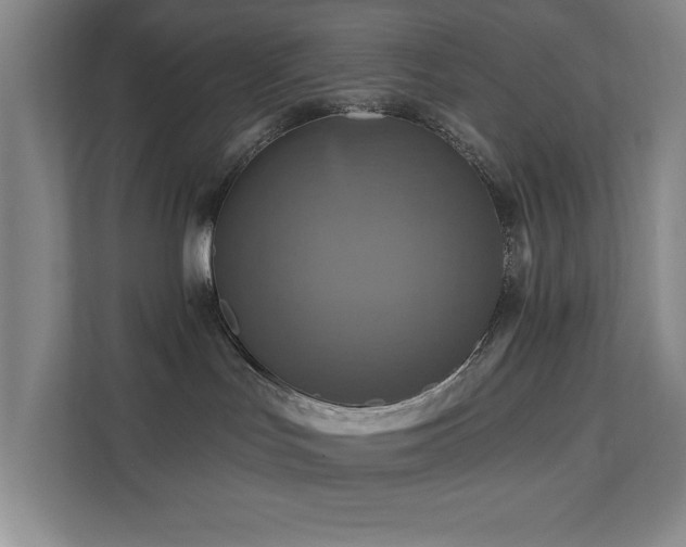 X0000111360047200907101239