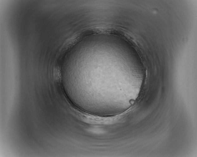 X0000111360048200907101239
