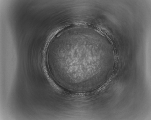 X0000111360049200907101239