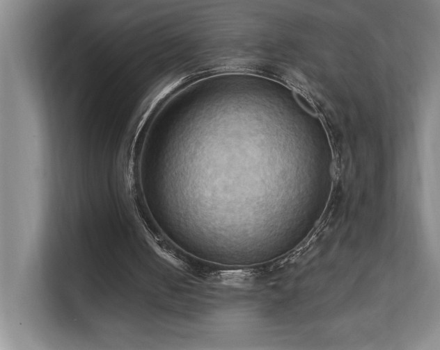 X0000111360050200907101239