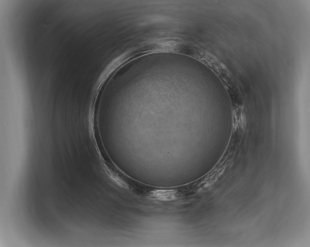 X0000111360051200907101239