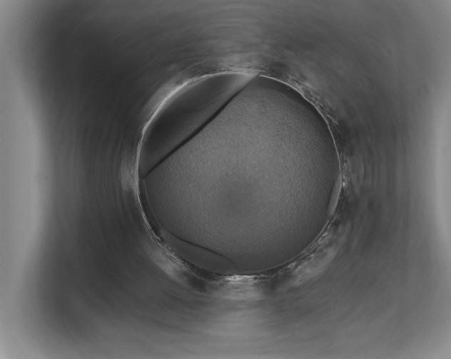 X0000111360052200907101239