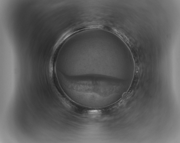 X0000111360053200907101239