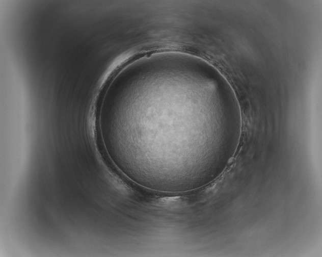 X0000111360054200907101239