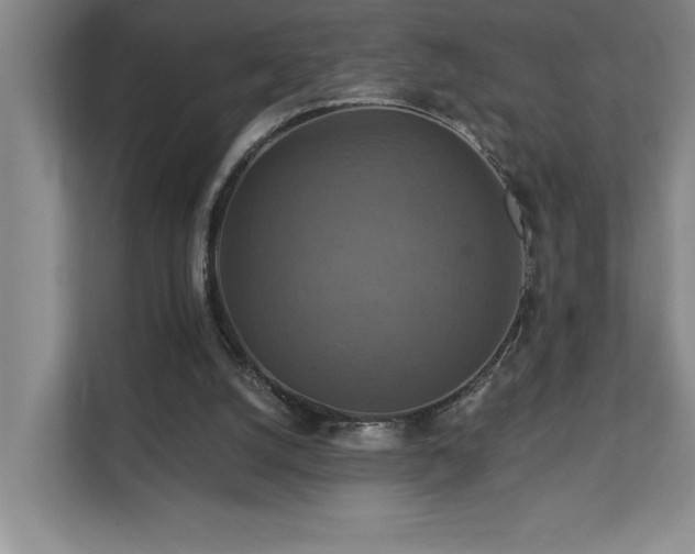 X0000111360056200907101239