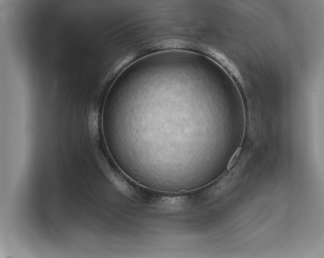 X0000111360057200907101239
