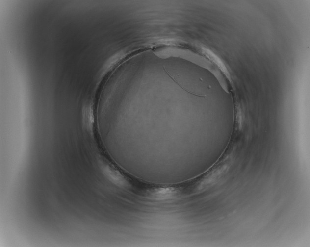 X0000111360059200907101239