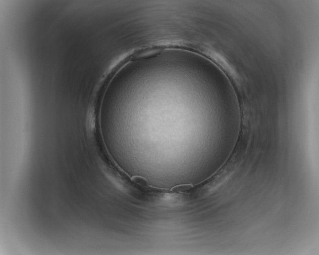 X0000111360060200907101239