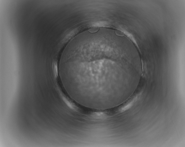 X0000111360061200907101239