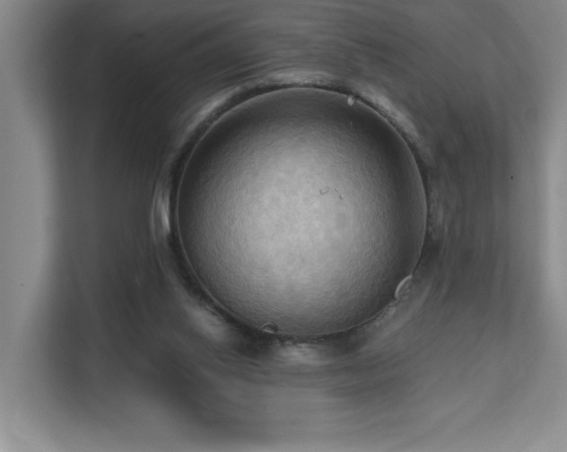 X0000111360062200907101239