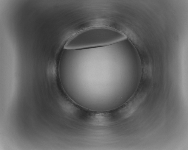 X0000111360064200907101239