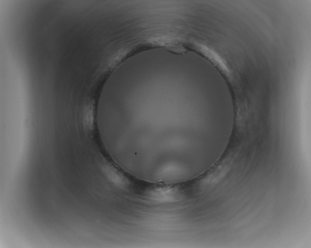 X0000111360065200907101239