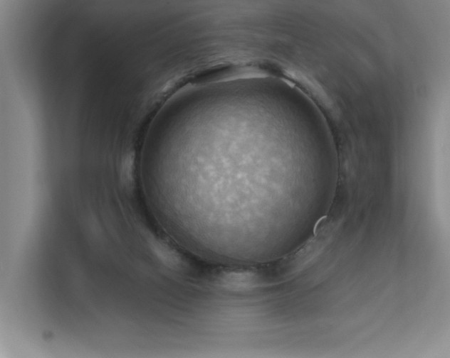 X0000111360066200907101239