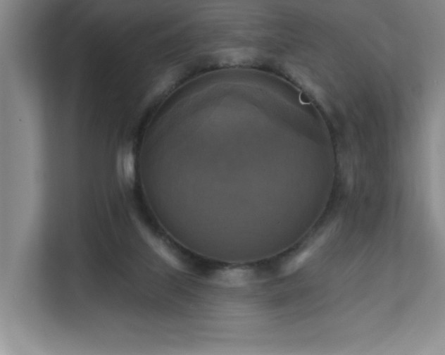 X0000111360067200907101239