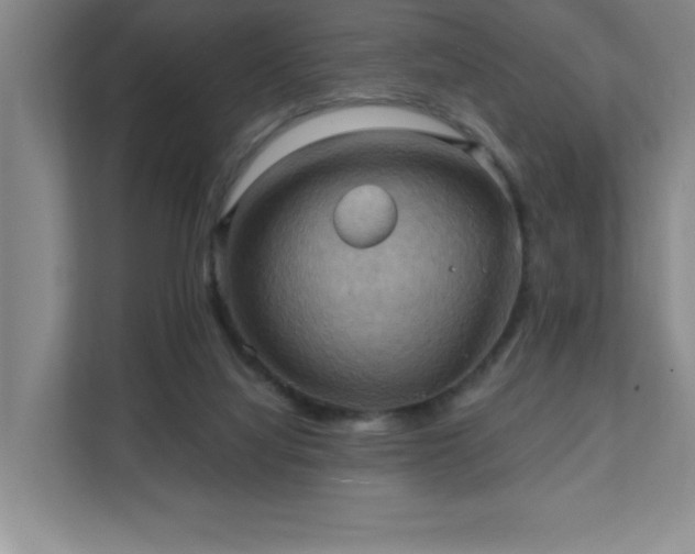 X0000111360068200907101239