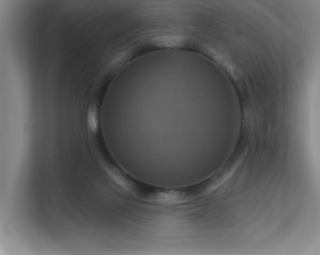 X0000111360069200907101239