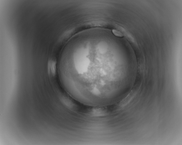 X0000111360070200907101239